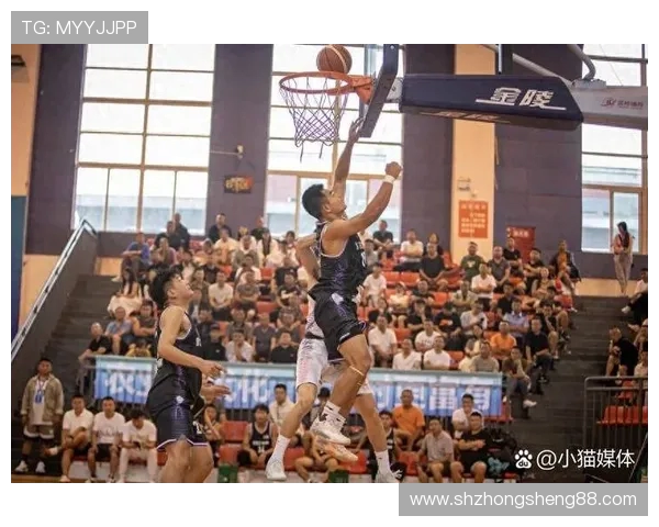 深入分析成都篮球队包夹战术的运用与效果探讨