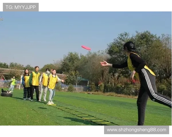 武汉飞盘队技术表现分析与提升策略探讨 武汉飞盘队技术表现分析与提升策略探讨