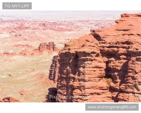 克罗拉多与新英格兰的激烈对决揭示足球战术与团队精神的较量