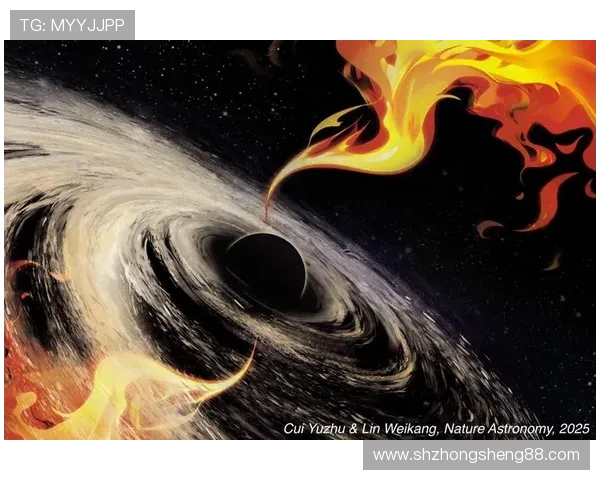 探寻布莱克尼的魅力与神秘揭示其背后的历史与文化之旅