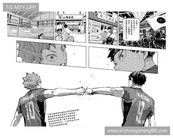 陈强的排球人生：从热爱到荣耀的深度对话与心路历程分享