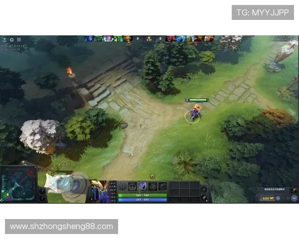 DOTA2战术分析：深入探讨WE战队的进攻策略与执行细节