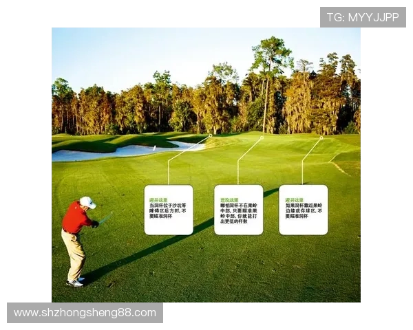 广州排球队耐力对比深度解析与训练策略探讨