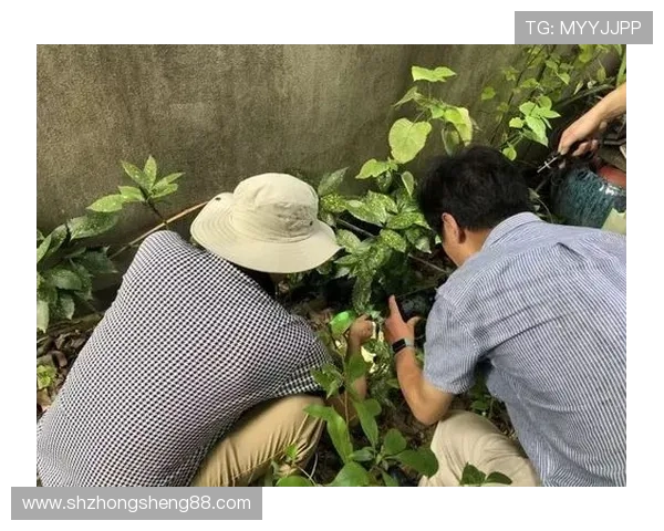 杭州飞盘队的控制打法深度解析与战术运用探讨