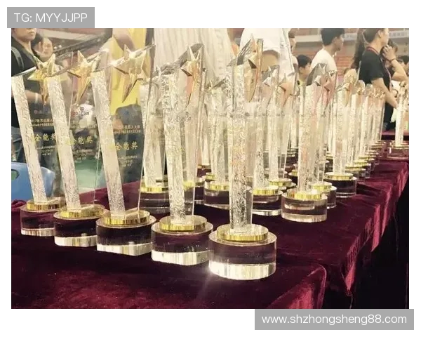 杭州羽毛球队的拼搏历程与荣耀时刻全景回顾